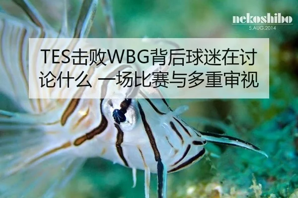 TES击败WBG背后球迷在讨论什么 一场比赛与多重审视